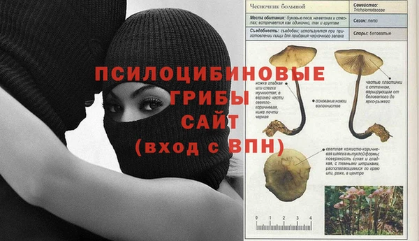 гашик Армянск