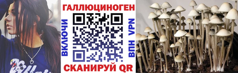 Псилоцибиновые грибы мицелий  купить наркотик  Суровикино 