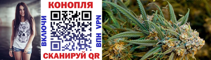 Бошки марихуана индика  где продают   Суровикино 